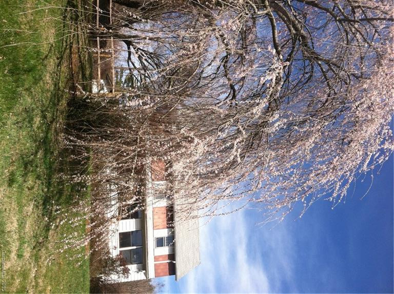 2252 Riceville Road - Photo 20
