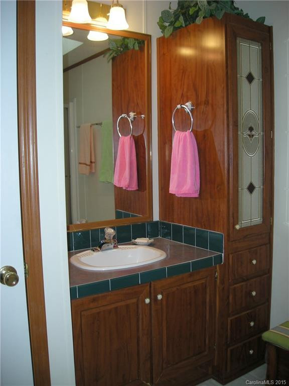 241 White Ash Circle #70 - Photo 10