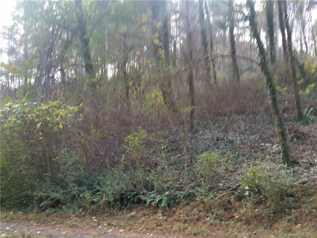 157 Harveys Mountain Road - Photo 4