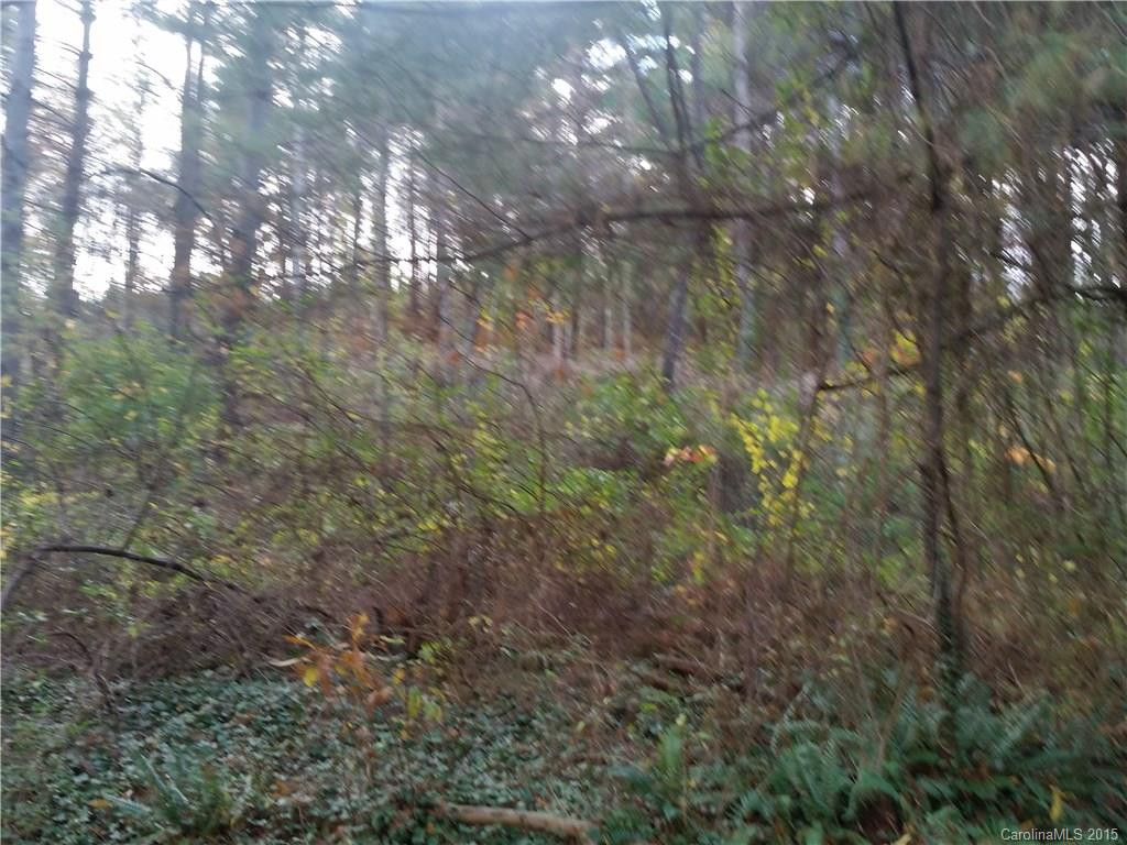 157 Harveys Mountain Road - Photo 6