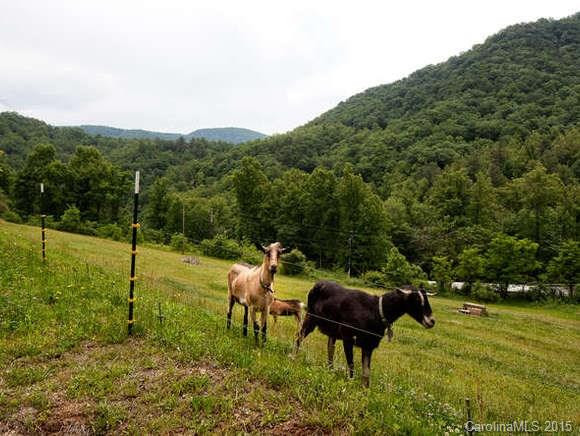 177 Slick Rock Road - Photo 10