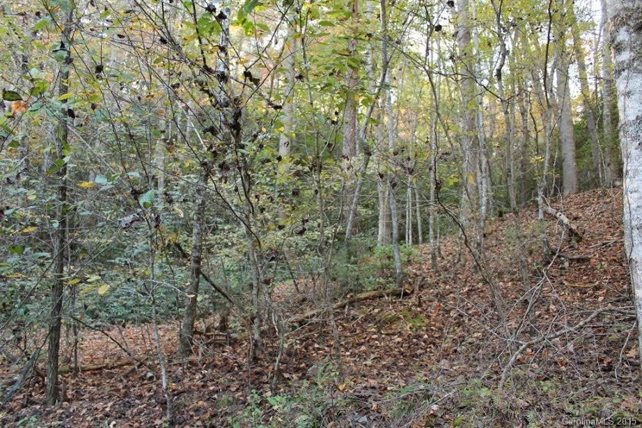 275 Hickory Cove Road - Photo 4