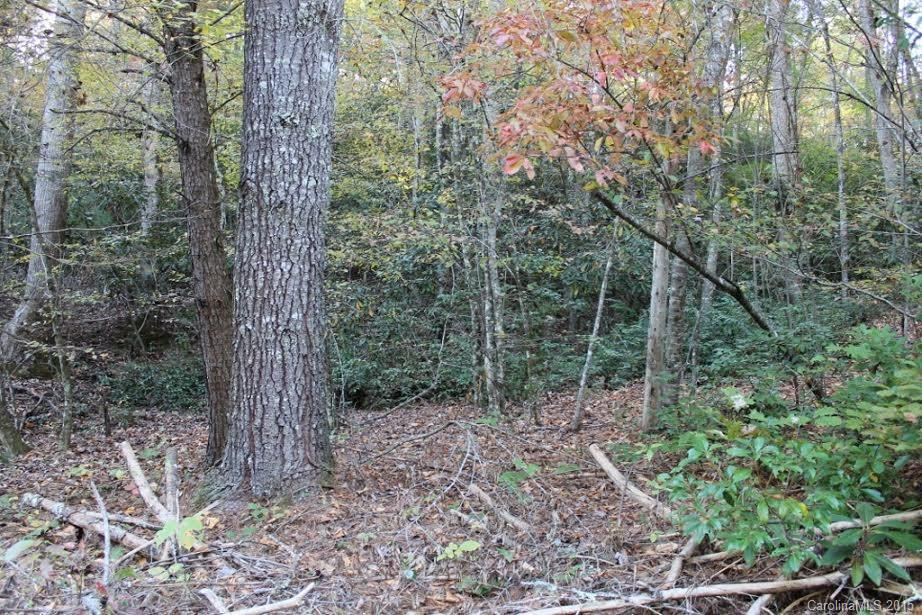 275 Hickory Cove Road - Photo 5