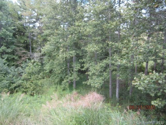5 White Cedar Drive - Photo 14