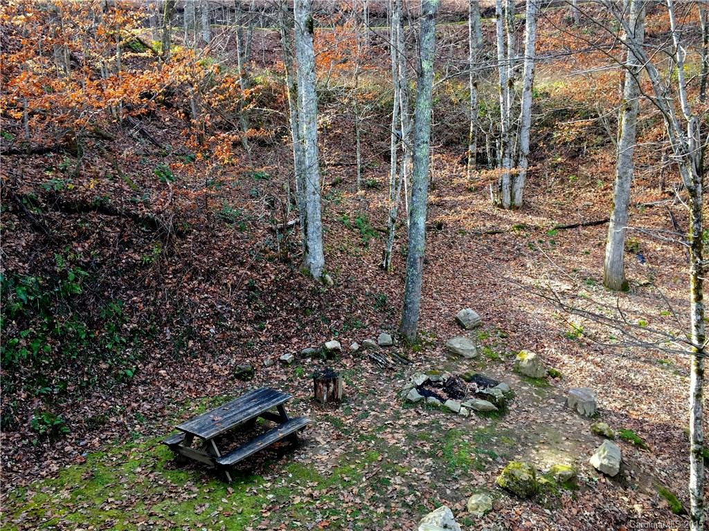 48 Young Bear Trail #9/1 - Photo 6