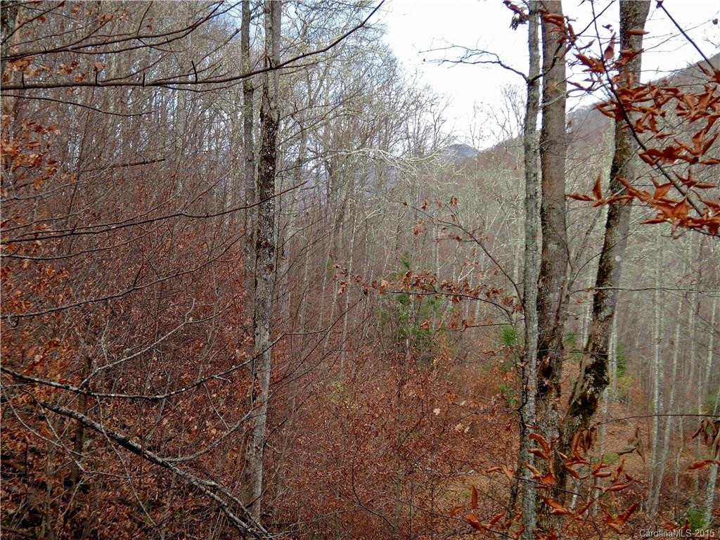48 Young Bear Trail #9/1 - Photo 7