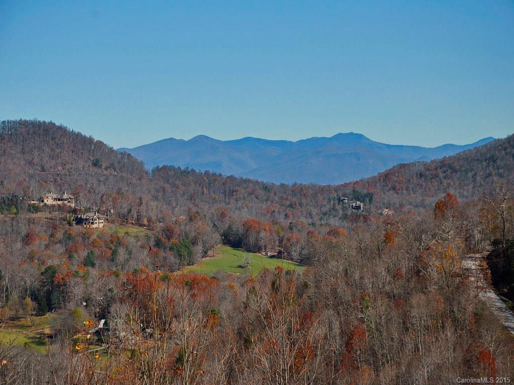 425 Bluemist Way - Photo 2
