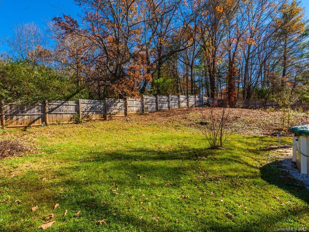 171 Lower Grassy Branc Road - Photo 9