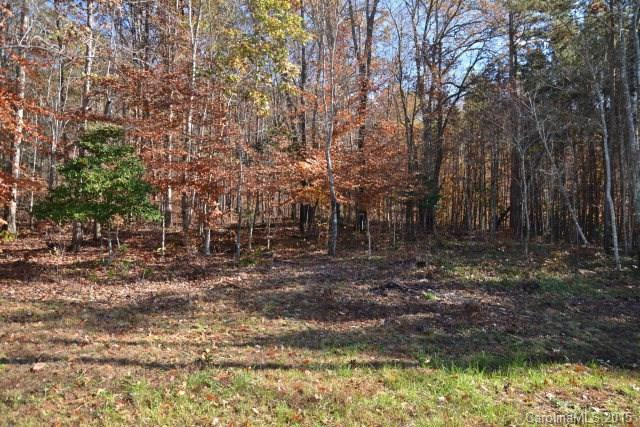 523 Lukes Loop - Photo 19