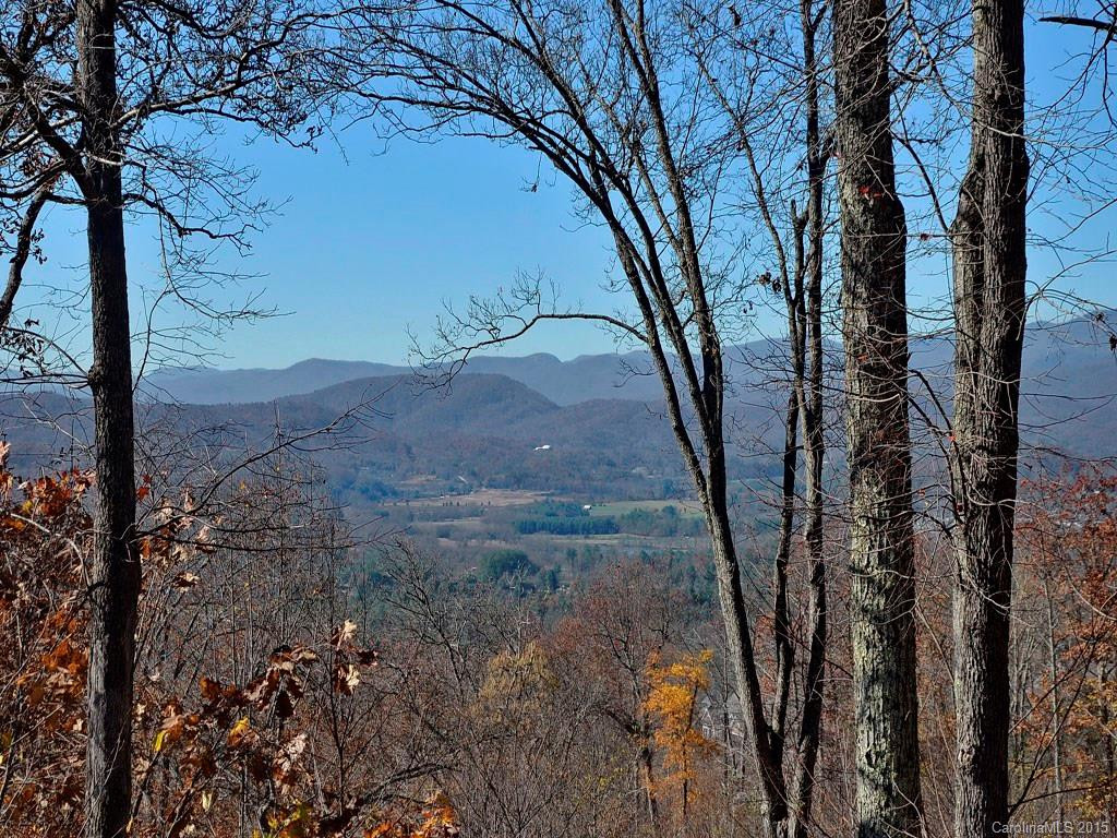 12 Ladys Fern Trail - Photo 9