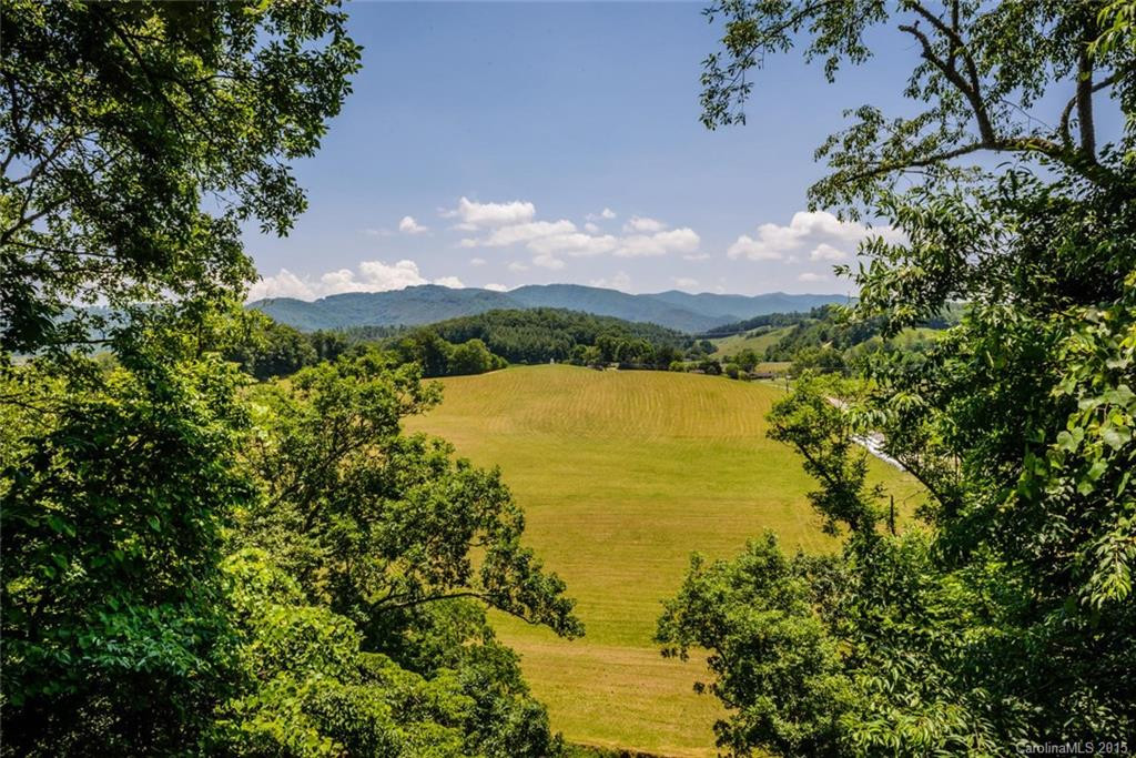 358 Blackberry Ridge Road - Photo 2