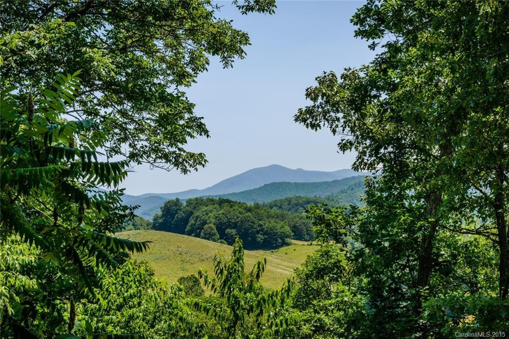 358 Blackberry Ridge Road - Photo 4