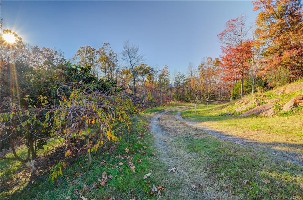 139 Cove Springs Road - Photo 18