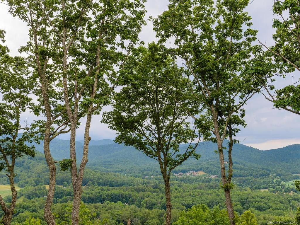 273 Secluded Hills Lane #33 - Photo 16