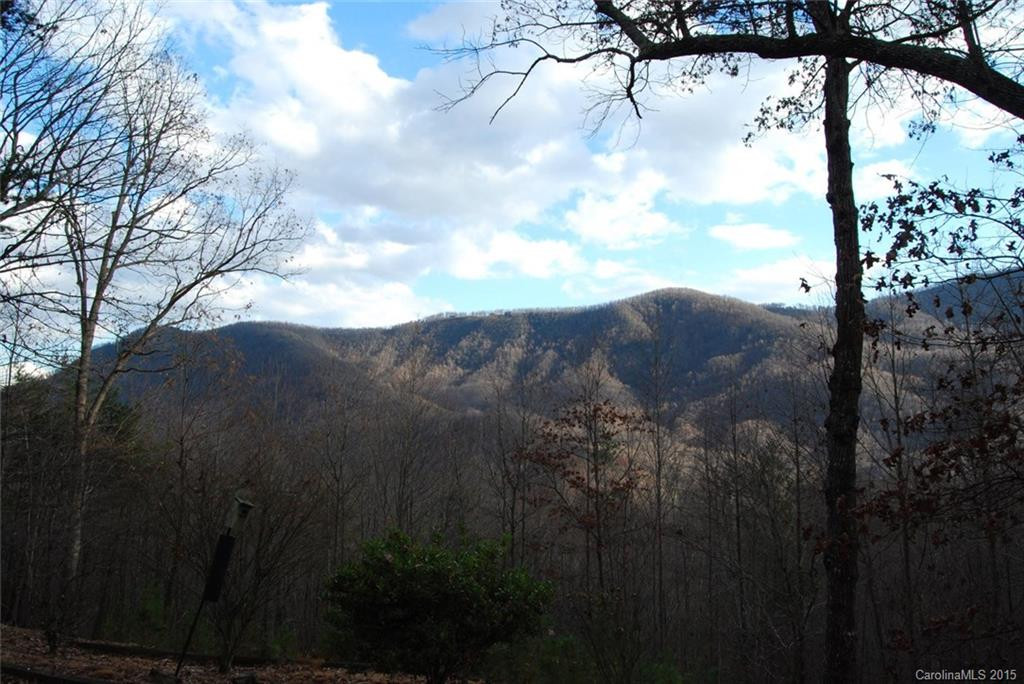 600 Piney Gate Road - Photo 5