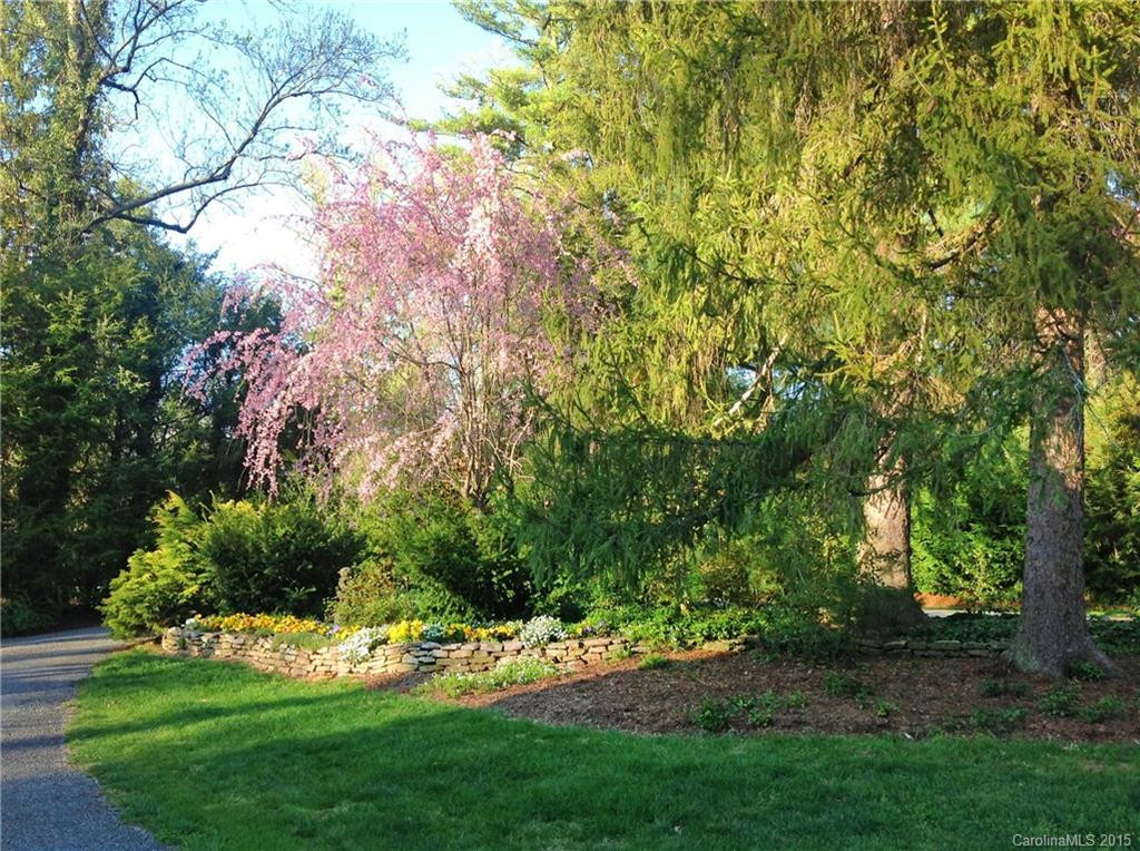 341 Vanderbilt Road - Photo 4