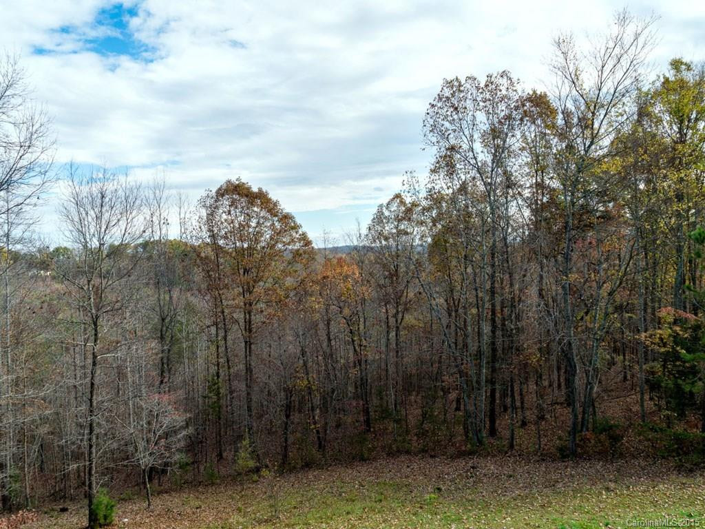 973 Moss Road - Photo 15