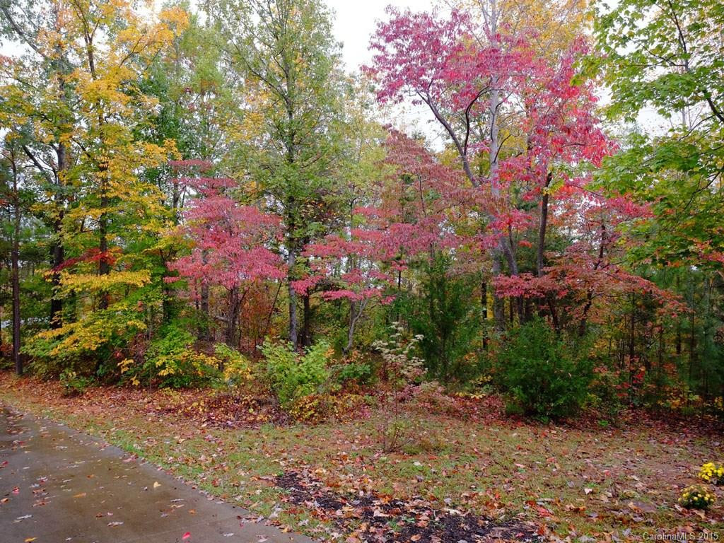 973 Moss Road - Photo 16
