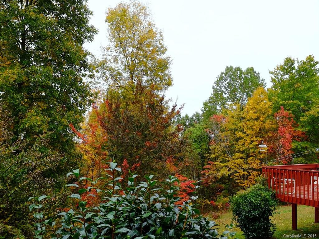 973 Moss Road - Photo 17