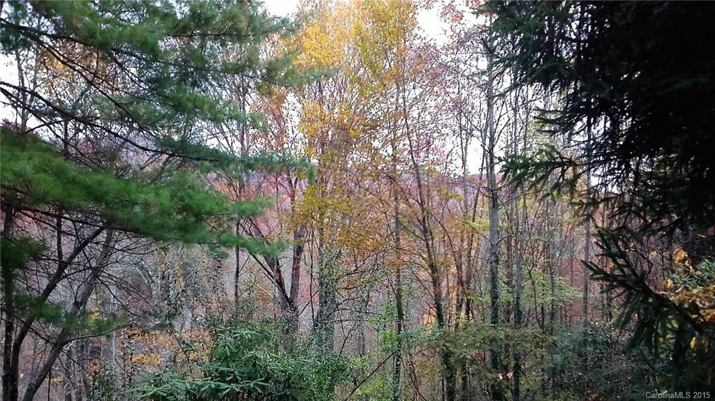 366 Concord Lane - Photo 19