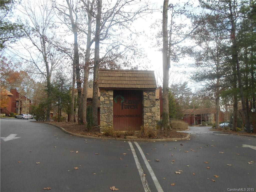 102 Cedar Forest Trail #102 - Photo 2