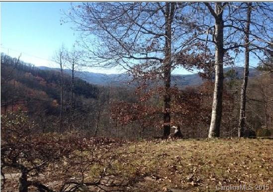 65 Hawk Shadow Trail #5 - Photo 3