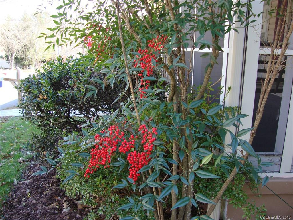 500 Higate Road #22 - Photo 12