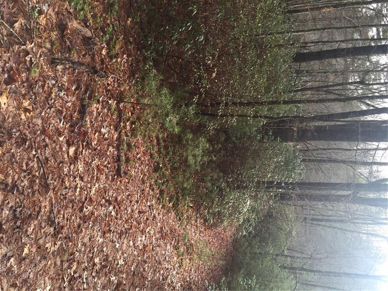 990 Happy Acres Road - Photo 12