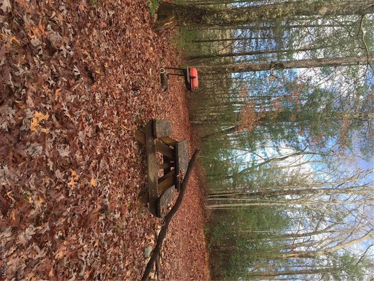 990 Happy Acres Road - Photo 14