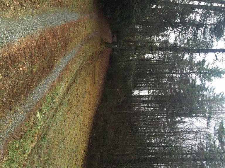 990 Happy Acres Road - Photo 4