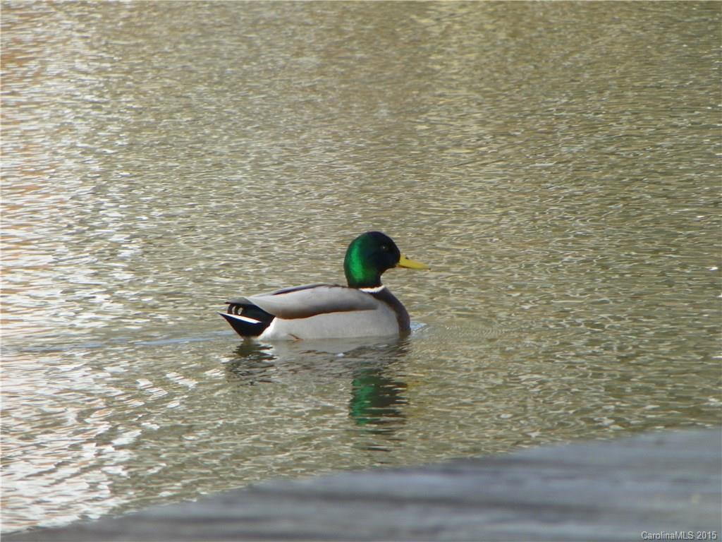 50 Mallard Trail - Photo 22