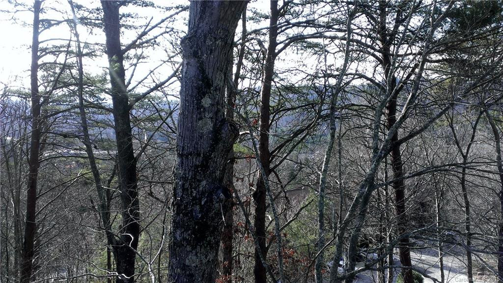 305 Piney Mountain Drive #R3 - Photo 11