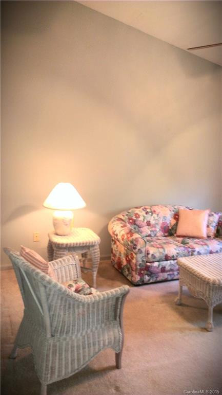 305 Piney Mountain Drive #R3 - Photo 12