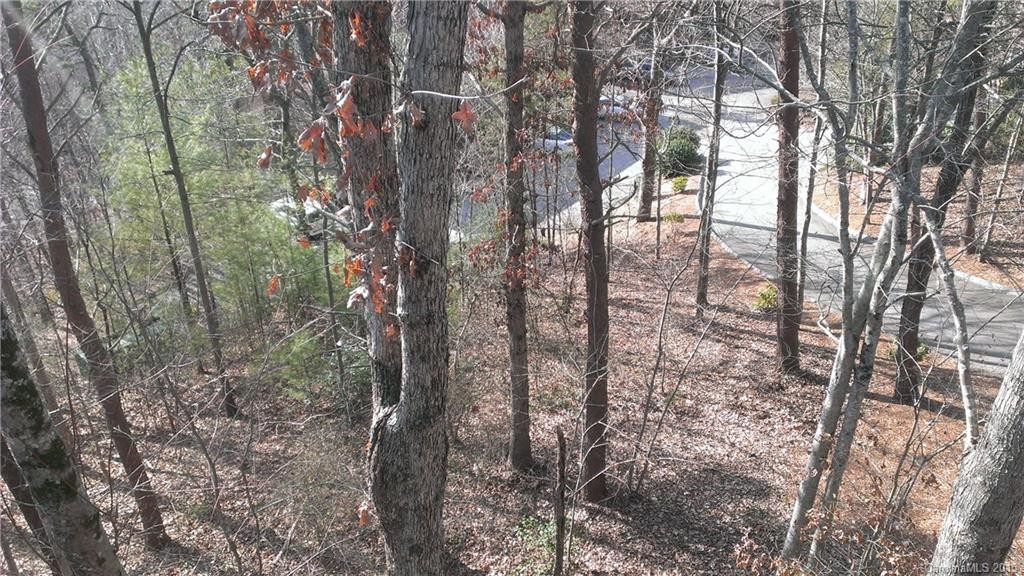 305 Piney Mountain Drive #R3 - Photo 8