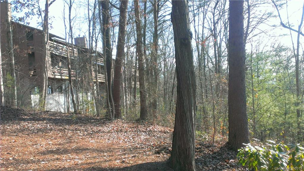 305 Piney Mountain Drive #R3 - Photo 10