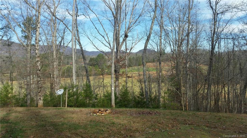 150 Lost Trail #111 - Photo 19