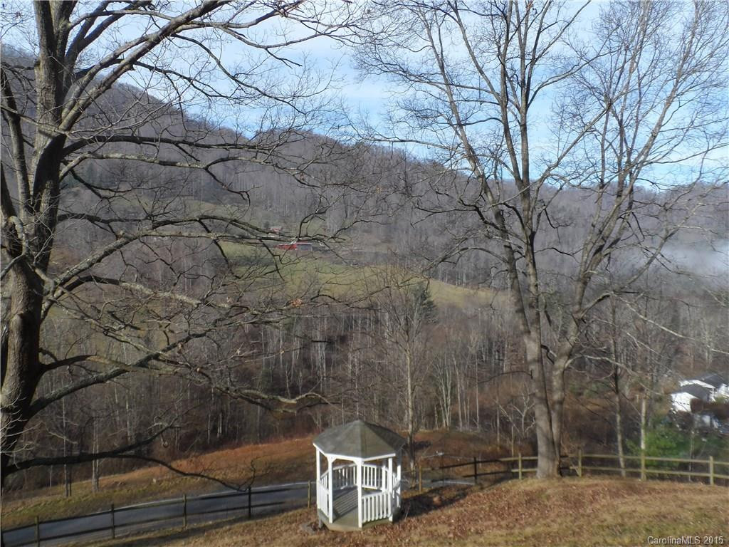 768 Old Mine Fork Road - Photo 2