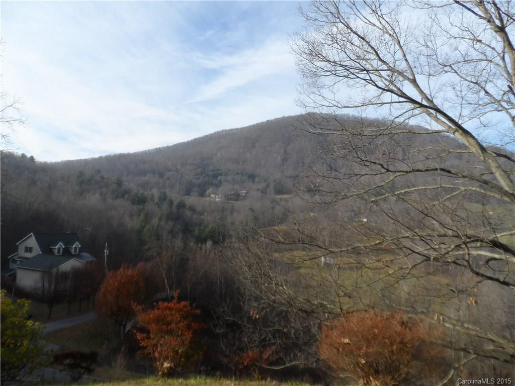 768 Old Mine Fork Road - Photo 6