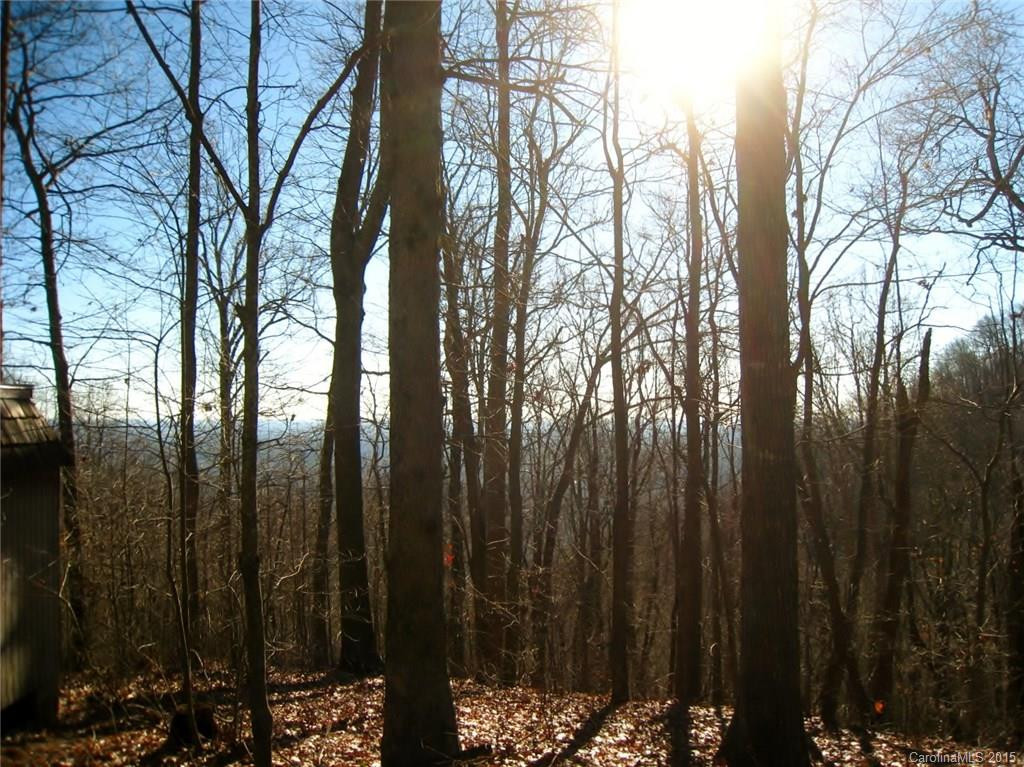 3521 Howard Gap Road - Photo 14