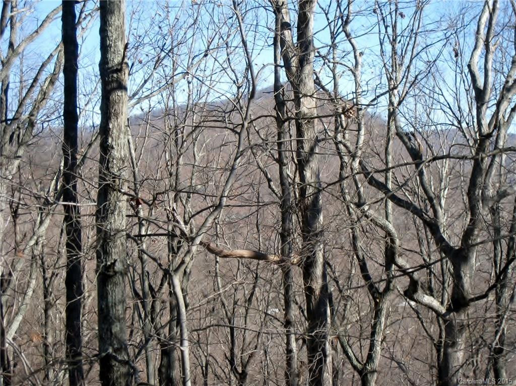 3521 Howard Gap Road - Photo 16