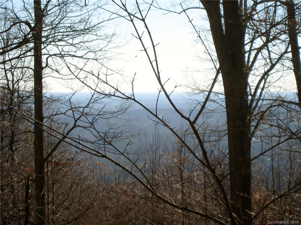 3521 Howard Gap Road - Photo 17