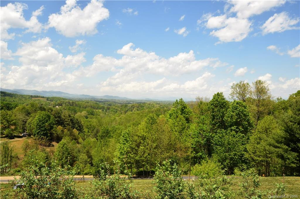 45 Blazing Star Drive - Photo 21