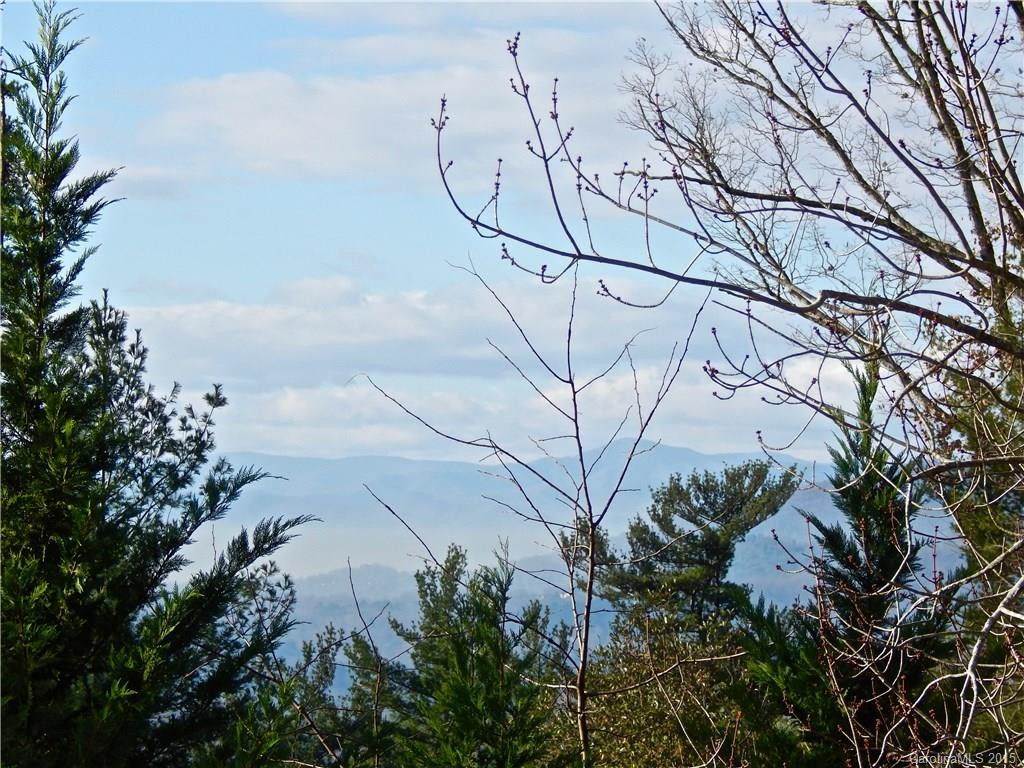 524 Sweet Spire Ridge - Photo 15