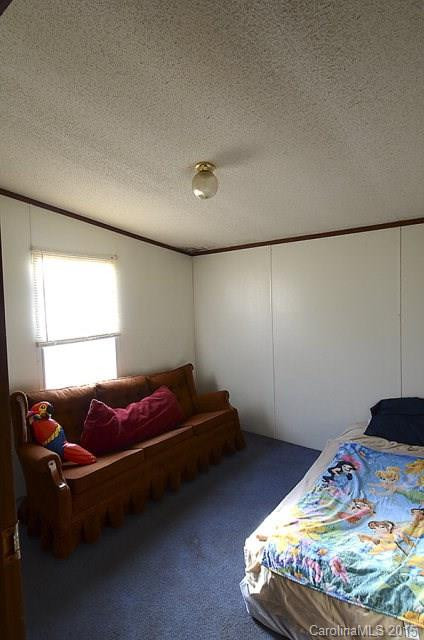 541 Big Bear Boulevard - Photo 5