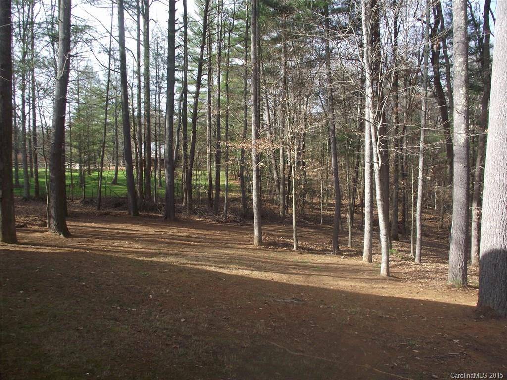 172 Talon Trail Lane - Photo 23