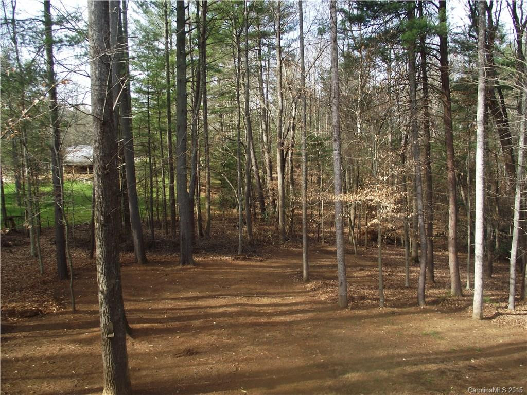 172 Talon Trail Lane - Photo 24