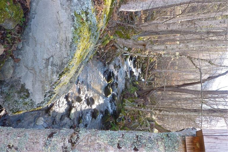 26 Howard Moore Road - Photo 11