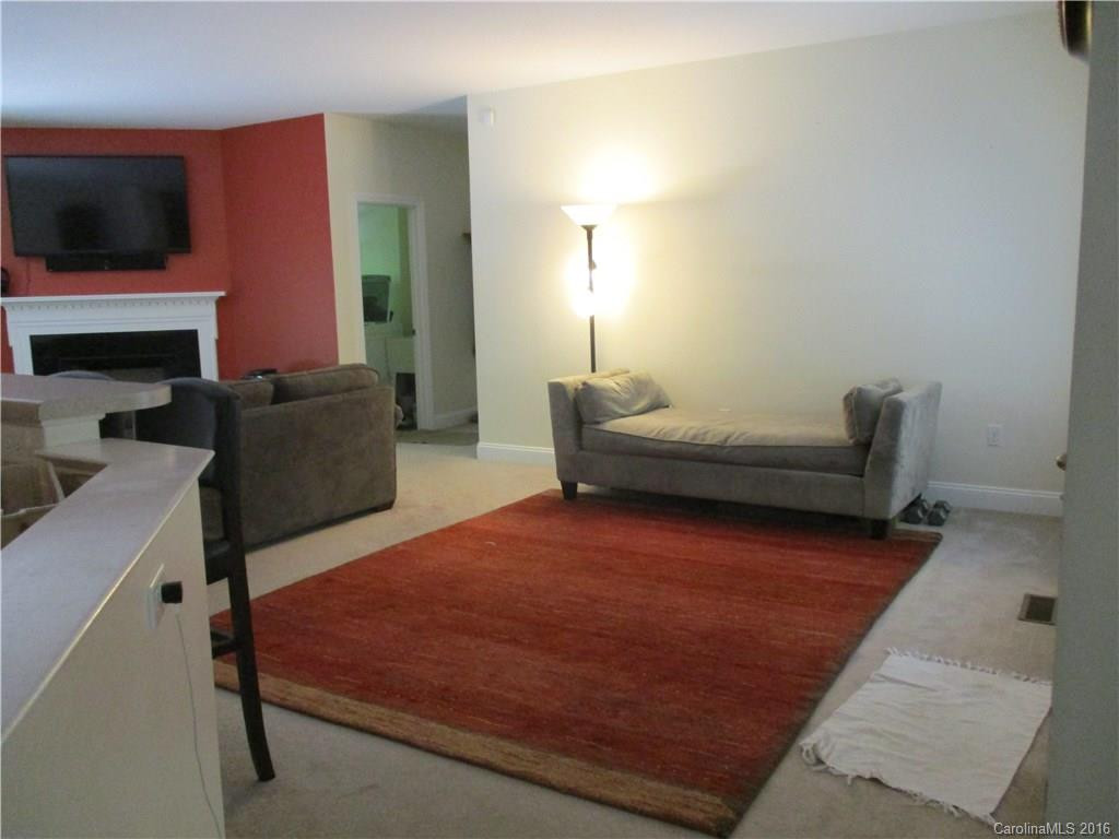 1036 Summit Springs Drive - Photo 11