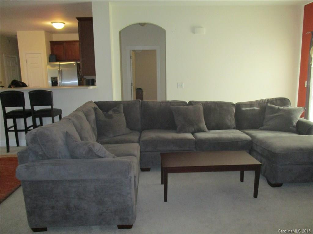1036 Summit Springs Drive - Photo 8