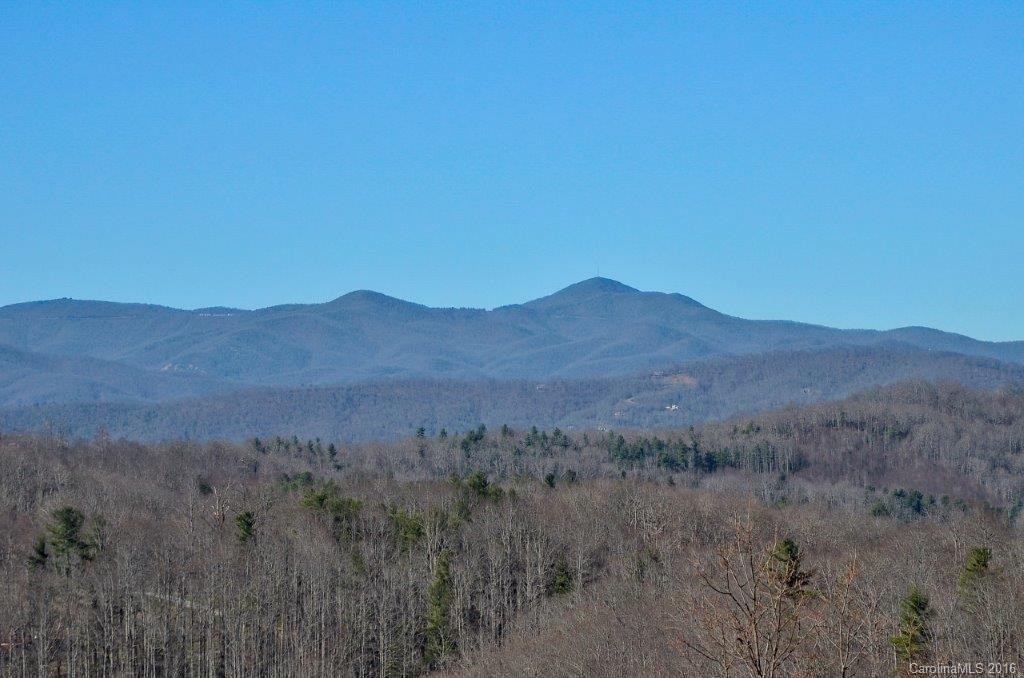 135 Crossvine Trail - Photo 3